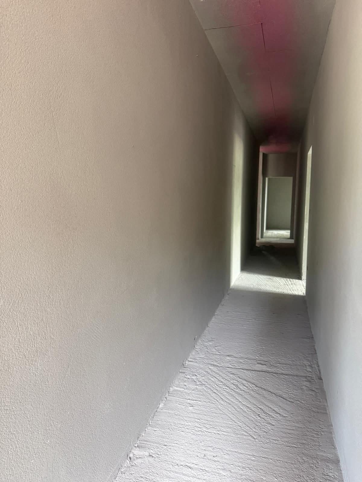 Hol cu tencuială mecanizată